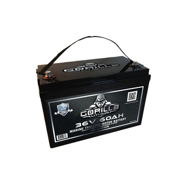 36V 60ah Trolling Motor Battery